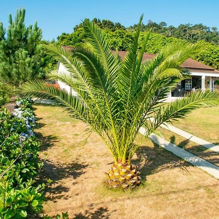 Casa Amaral Villa Santo Antonio  Dış mekan fotoğraf