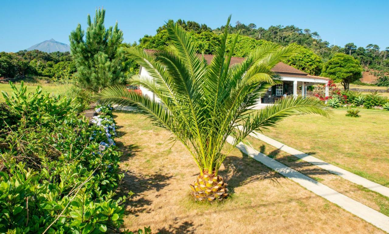 Casa Amaral Villa Santo Antonio  Dış mekan fotoğraf